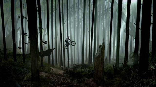 Video Reference: Atmosphere, Plant, Wood, Branch, Natural landscape, Sunlight, Terrestrial plant, Trunk, Atmospheric phenomenon, Woody plant