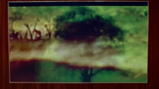 Video Reference: Atmosphere, Plant, Nature, Sky, Natural landscape, Paint, Rectangle, Tree, Art, Grass