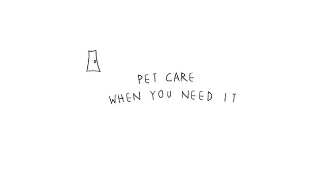 Video Reference: white background, handwritten text, pet care, title card, minimalist, simple drawing, door icon, text on screen