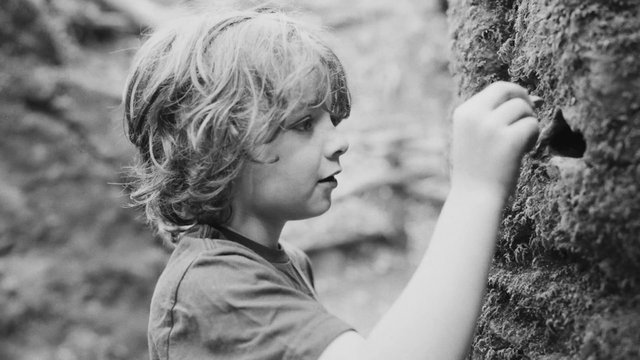 Video Reference: black and white, child, portrait, profile, outdoors, nature, moss, tree, exploration, curiosity, close-up, hand, side view, forest, play