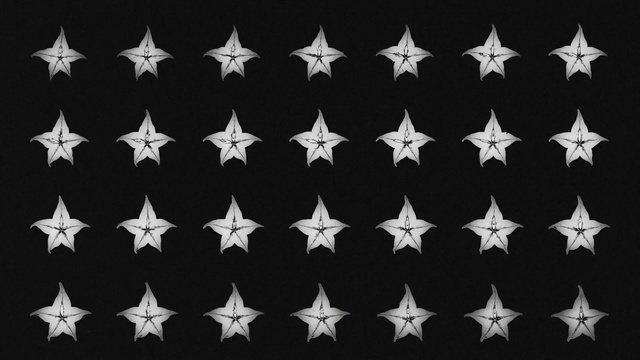 Video Reference: Flag of the united states, Black, Pattern, Symmetry, Electric blue, Event, Flag Day (USA), Font, Flag, Astronomical object