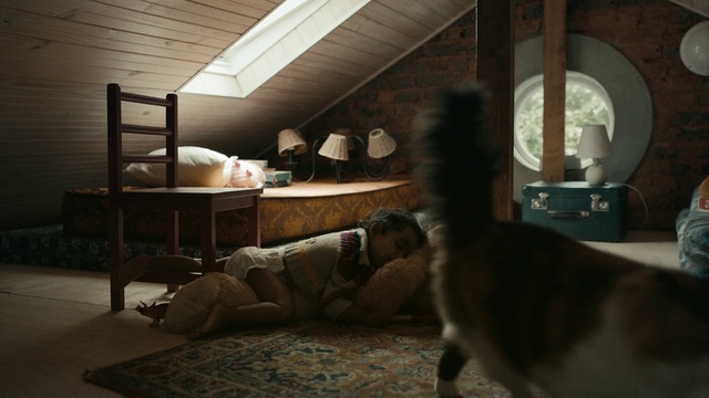 Video Reference: Comfort, Wood, Floor, Flooring, Hardwood, Living room, Darkness, Bedroom, Room, Companion dog