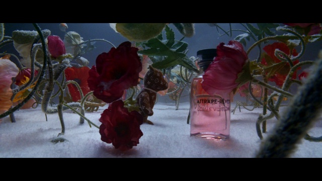 Video Reference: Flower, Plant, Petal, Branch, Window, Pink, Twig, Hybrid tea rose, Flower Arranging, Magenta