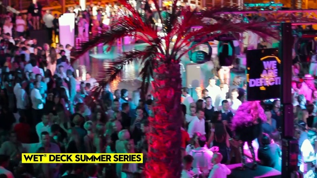 Video Reference: Decoration, Purple, Pink, Violet, Entertainment, Leisure, Magenta, Fun, Crowd, Event