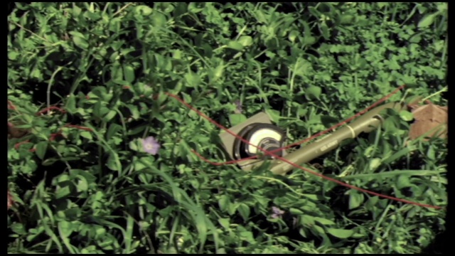 Video Reference: Plant, Ball, Sports equipment, Grass, Terrestrial plant, Toy, Groundcover, Shrub, Audio equipment, Landscape