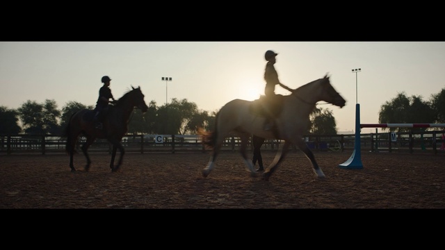 Video Reference: Horse, Sky, Vertebrate, Tree, Horse tack, Working animal, Mammal, Horse supplies, Saddle, Bridle