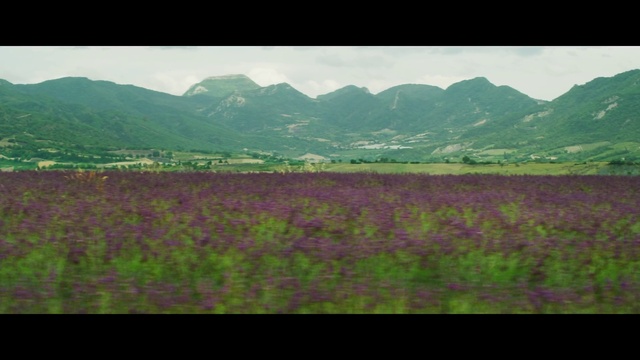 Video Reference: Sky, Plant, Mountain, Green, Natural landscape, Flower, Cloud, Land lot, Highland, Agriculture