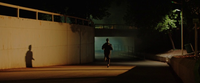 Video Reference: Tree, Tints and shades, Building, Road surface, Grass, Asphalt, Road, Darkness, Midnight, City