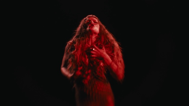 Video Reference: Flash photography, Musician, Performing arts, Artist, Entertainment, Music, Microphone, Concert, Music artist, Event