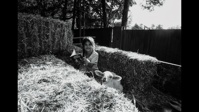 Video Reference: black and white, girl, child, book, lamb, hay bales, outdoor, farm, animal, reading, portrait, rustic, nature, daylight