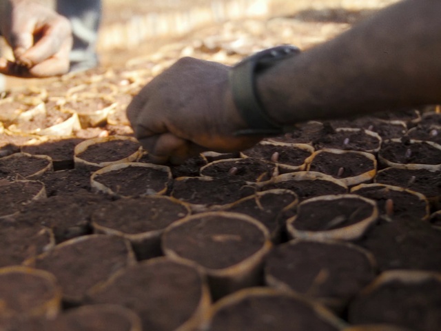 Video Reference: Brown, Wood, Automotive tire, Flooring, Road surface, Brick, Metal, Close-up, Ingredient, Cobblestone