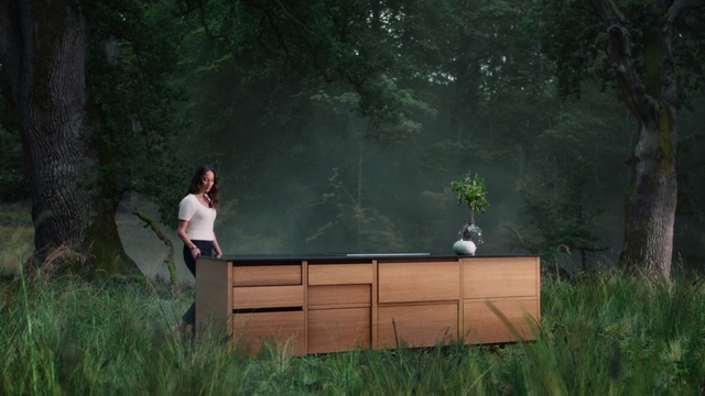 Video Reference: Plant, Plant community, Natural landscape, Wood, Tree, Grass, Landscape, Shrub, Grassland, Grass family