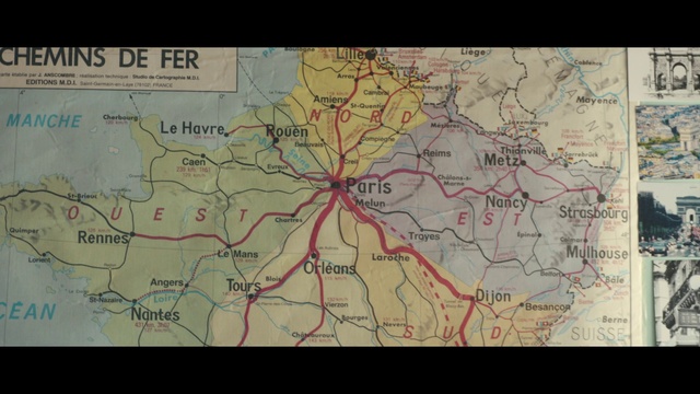 Video Reference: World, Ecoregion, Map, Botany, Atlas, Tree, Parallel, Terrestrial plant, Design, Event