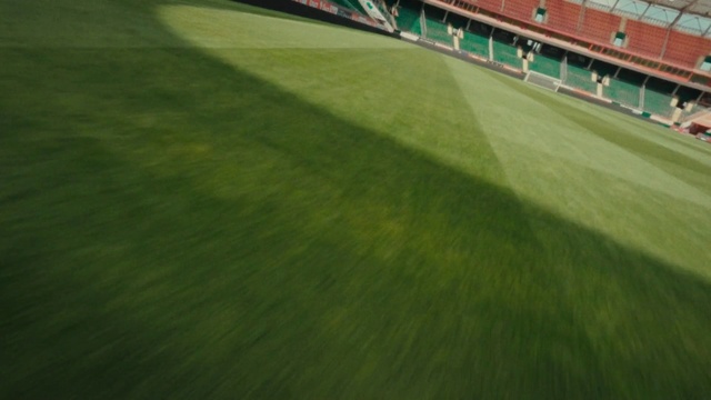 Video Reference: Plant, Grass, Flooring, Player, Grassland, Landscape, Sports, Tree, Sport venue, City