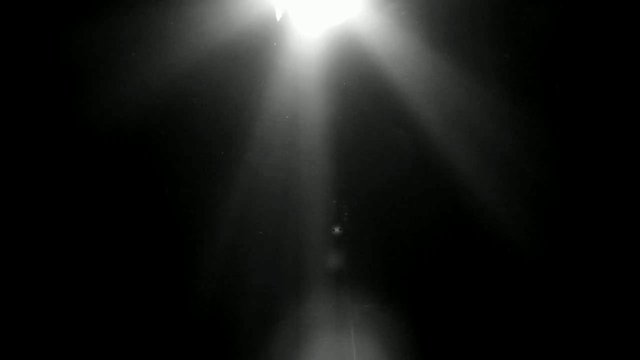Video Reference: dark, light beams, spotlight, mist, smoke, dust, abstract, low light, black background, atmospheric, beam of light, night, glow