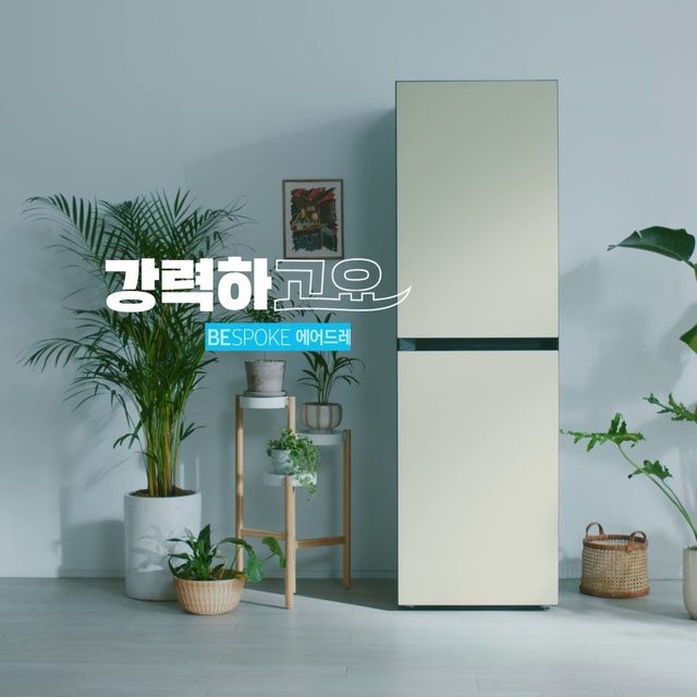 Video Reference: Plant, Property, Flowerpot, Houseplant, Building, Interior design, Rectangle, Wood, Shelving, Couch