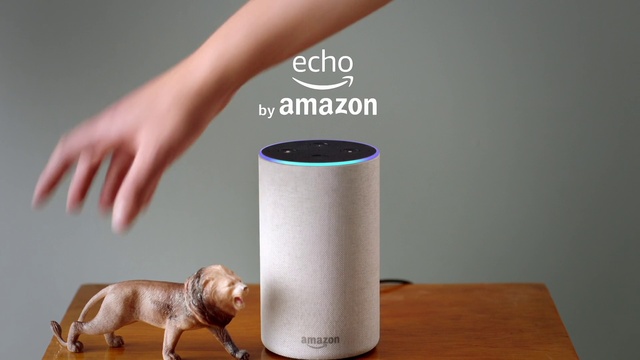 Video Reference: Drinkware, Coffee cup, Cup, Carnivore, Liquid, Dog, Gesture, Finger, Grey, Serveware