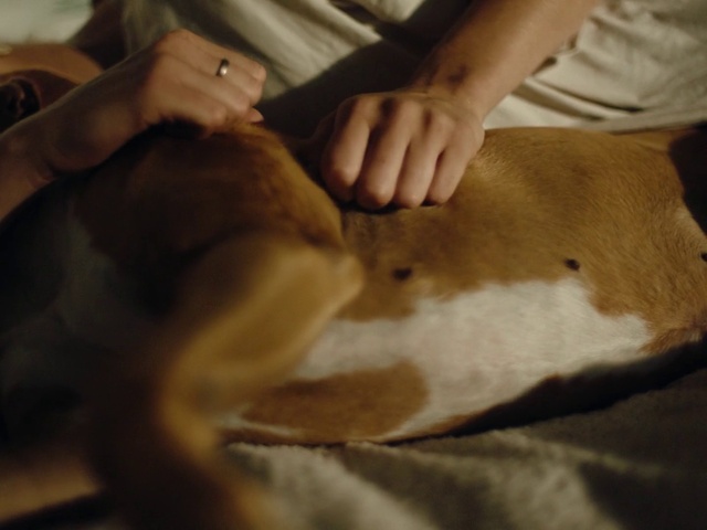 Video Reference: Hand, Leg, Comfort, Knee, Gesture, Finger, Wood, Trunk, Abdomen, Nail