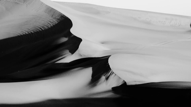 Video Reference: Gesture, Petal, Black-and-white, Style, Cloud, Art, Tints and shades, Monochrome, Landscape, Monochrome photography