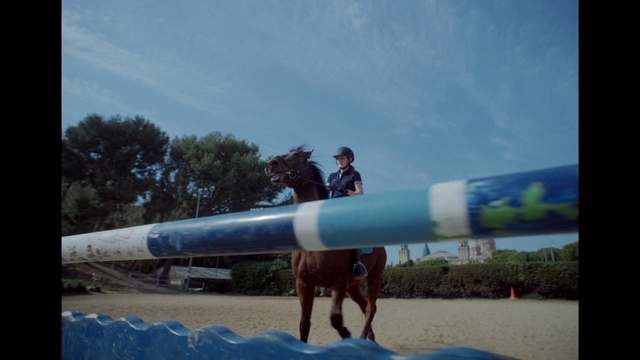 Video Reference: Sky, Cloud, Working animal, Travel, Tree, Recreation, Leisure, Landscape, Electric blue, Ranch