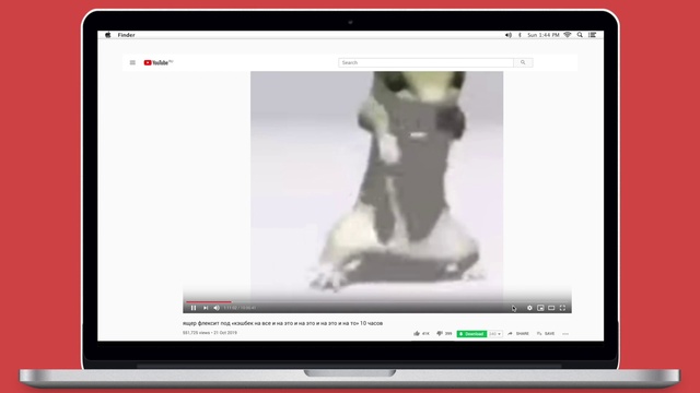 Video Reference: Hand, Computer, Photograph, White, Output device, Product, Personal computer, Gadget, Communication Device, Gesture