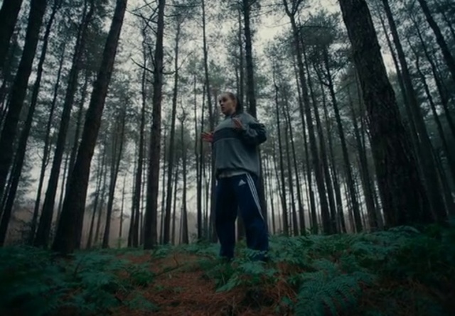 Video Reference: Plant, People in nature, Tree, Wood, Natural landscape, Terrestrial plant, Trunk, Twig, Sky, Tints and shades