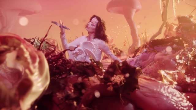 Video Reference: Plant, Fashion, Petal, Branch, Sunlight, Pink, Happy, Flower, Cg artwork, Magenta