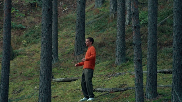 Video Reference: Plant, People in nature, Tree, Natural landscape, Wood, Trunk, Terrestrial plant, Deciduous, Landscape, Shorts