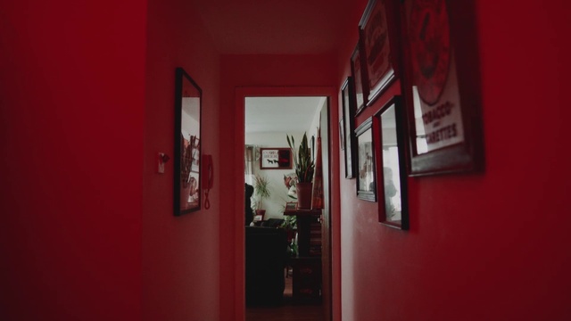 Video Reference: Picture frame, Plant, Door, Flowerpot, Houseplant, Wood, Fixture, Building, Clock, Magenta