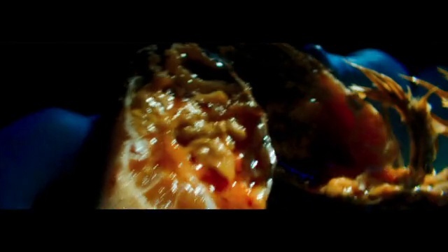 Video Reference: Fluid, Marine invertebrates, Underwater, Marine biology, Liquid, Electric blue, Science, Coral, Cnidaria, Reef