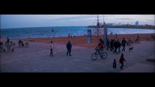 Video Reference: Bicycle, Water, Sky, Cloud, Tire, Wheel, Bicycle wheel, Beach, People on beach, Coastal and oceanic landforms