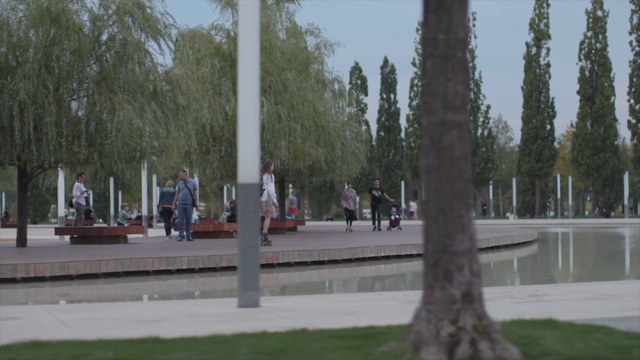 Video Reference: Sky, Plant, Tree, Woody plant, Leisure, Trunk, City, Grass, Road, Monument