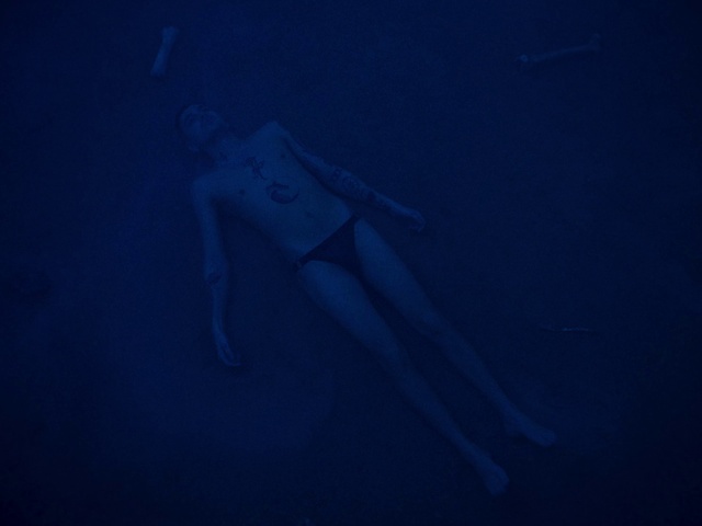 Video Reference: Water, Underwater, Underwater diving, Flash photography, Marine biology, Electric blue, Art, Recreation, Darkness, Scuba diving