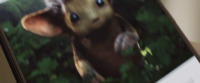 Video Reference: Carnivore, Fawn, Whiskers, Terrestrial animal, Eyelash, Grass, Dog breed, Small to medium-sized cats, Canidae, Fur