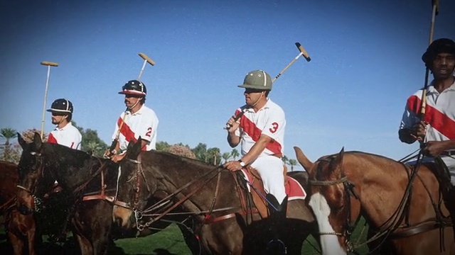 Video Reference: Horse, Polo, Sky, Vertebrate, Sports equipment, Horse tack, Mammal, Outdoor recreation, Bridle, Sports