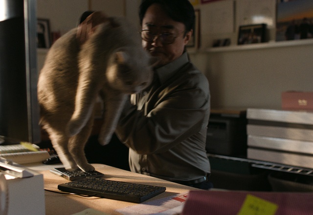 Video Reference: Primate, Felidae, Fawn, Small to medium-sized cats, Carnivore, Snout, Engineering, Macaque, Fur, Office equipment