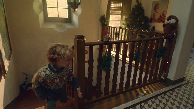 Video Reference: Property, Plant, Wood, Interior design, Houseplant, Flooring, Floor, Hardwood, Wood stain, Fence