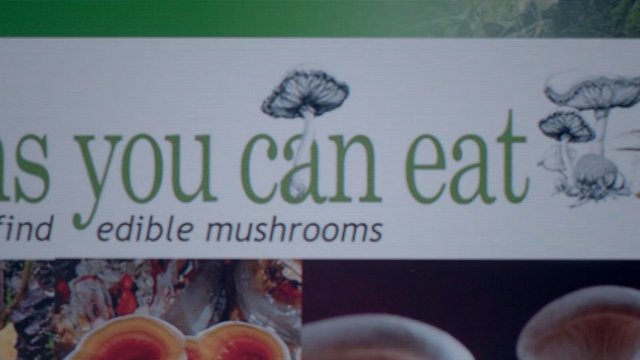 Video Reference: mushroom, edible, sign, text, webpage, illustration, close-up, nature, food, fungi, poster, banner