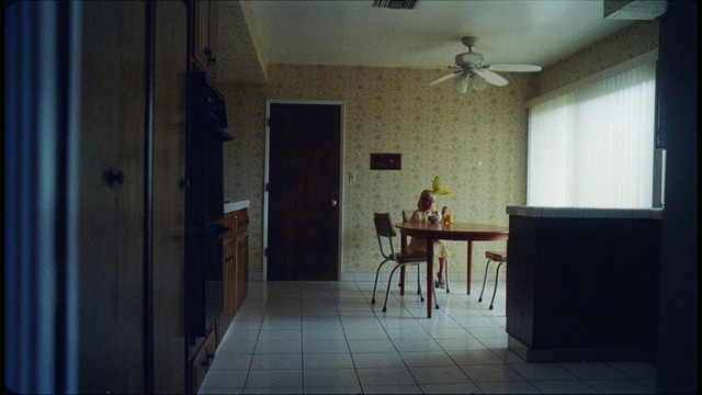 Video Reference: Ceiling fan, Wood, Table, Interior design, Window, Building, Floor, Hall, Houseplant, Flooring