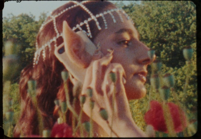 Video Reference: Plant, People in nature, Neck, Textile, Happy, Tree, Grass, Fawn, Art, Adaptation