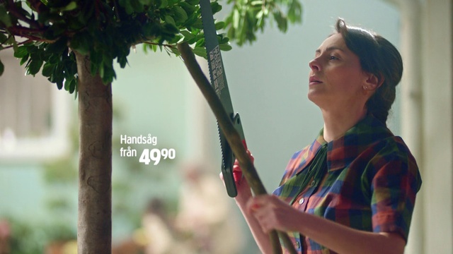 Video Reference: People in nature, Musician, Tree, Happy, Artist, Grass, Event, Leisure, Guitar, Musical instrument