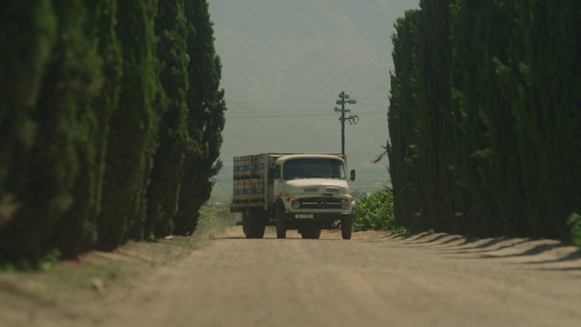 Video Reference: Land vehicle, Plant, Tire, Vehicle, Wheel, Automotive tire, Automotive lighting, Truck, Road surface, Asphalt