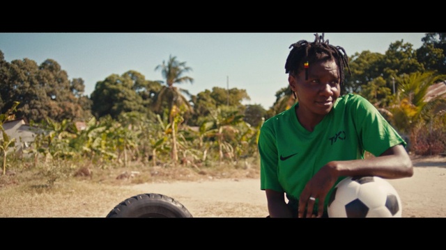 Video Reference: Sky, Plant, Tree, Happy, Leisure, Grass, Arecales, Adaptation, Travel, People in nature