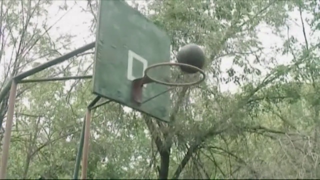 Video Reference: Basketball, Tree, Basketball hoop, Sky, Twig, Pole, Plant, Light fixture, Signage, Net