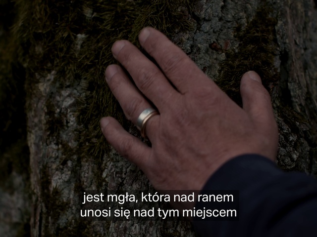 Video Reference: Wood, Organism, Gesture, Bedrock, Finger, Trunk, Thumb, Terrestrial plant, Formation, People in nature