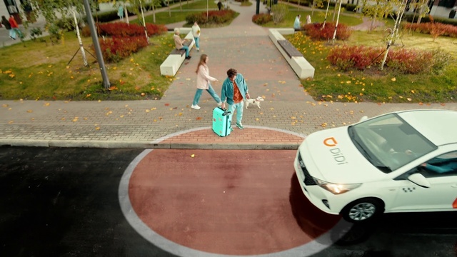 Video Reference: Tire, Plant, Car, Wheel, Vehicle, Hood, Motor vehicle, Infrastructure, Asphalt, Road surface