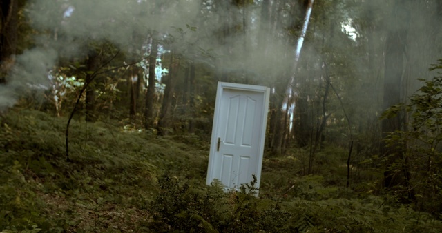 Video Reference: Plant, Plant community, Ecoregion, Wood, Door, Land lot, Tree, Natural landscape, Grass, Landscape