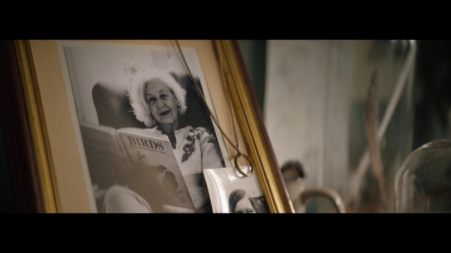 Video Reference: Eyebrow, Art, Flash photography, Automotive design, Font, Violin family, Event, Music, Visual arts, Musical instrument