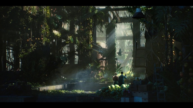 Video Reference: Plant, Terrestrial plant, Window, Tints and shades, Forest, Natural landscape, Landscape, Tree, Glass, Darkness