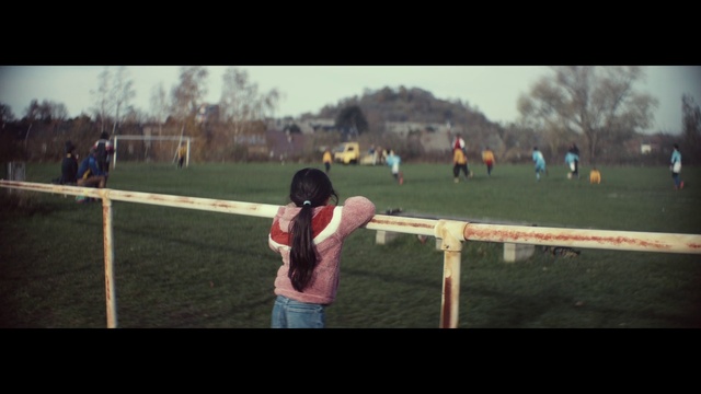 Video Reference: Sky, Plant, Flash photography, Tree, Player, Grass, Happy, Recreation, Fence, Sports